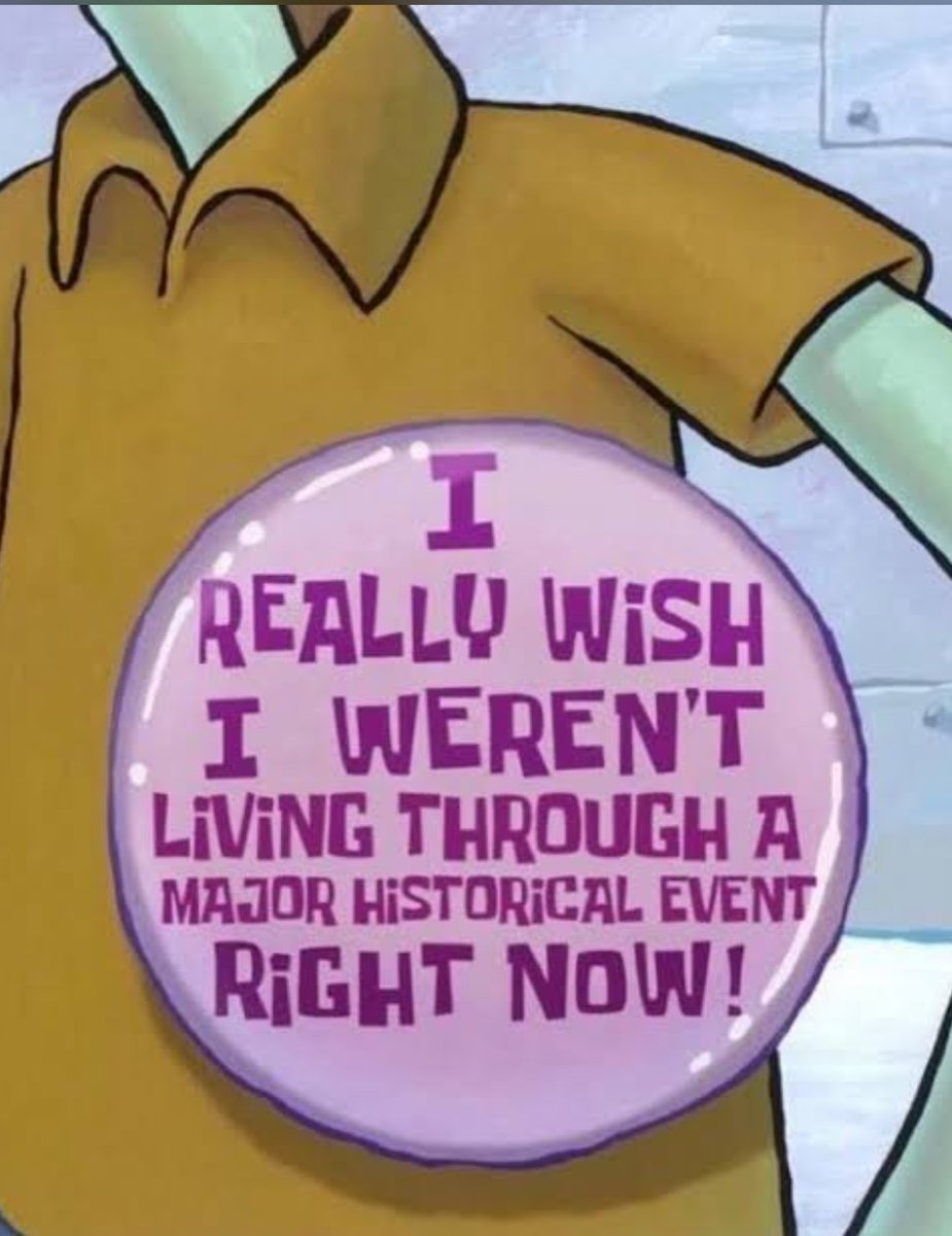 Maya Luna tweet media