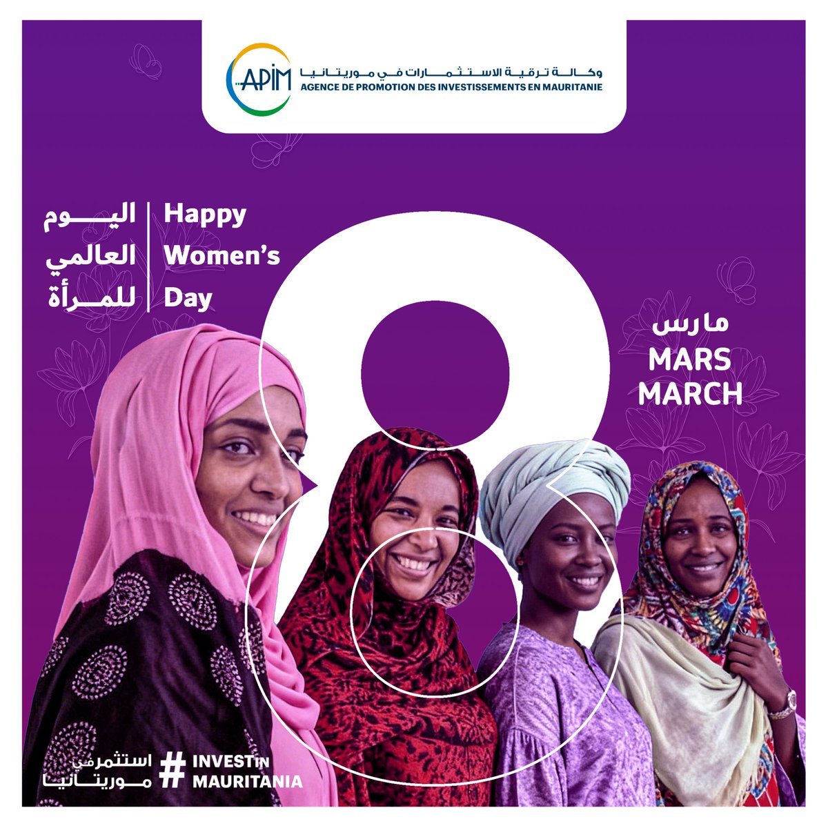 APIM - وكالة ترقية الاستثمارات في موريتانيا tweet media