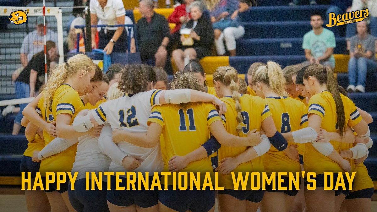 BVU Volleyball tweet media