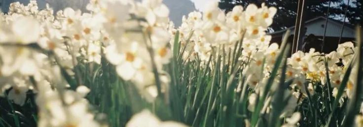 𝚂𝙰𝙽𝙰 𝙷𝙰𝙸𝙳𝙴𝚁 tweet media