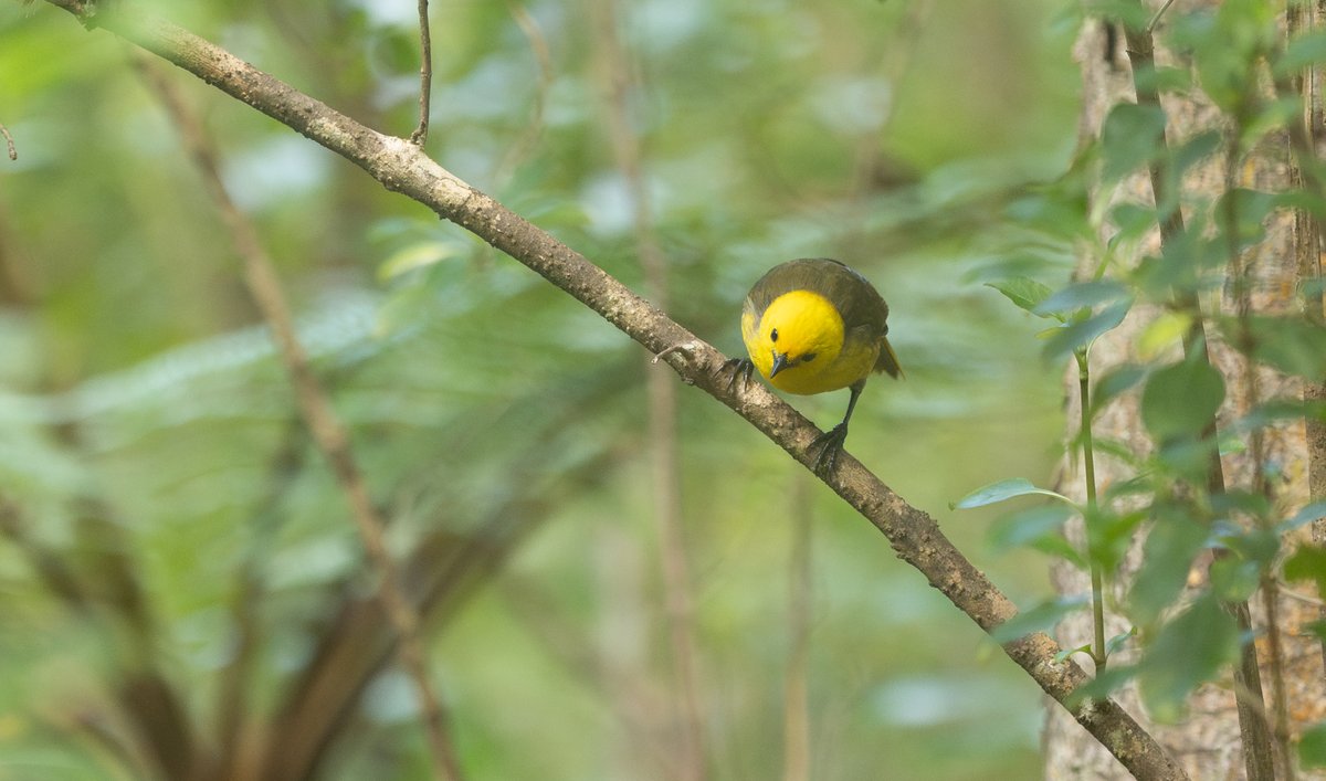 Tom Wright tweet media