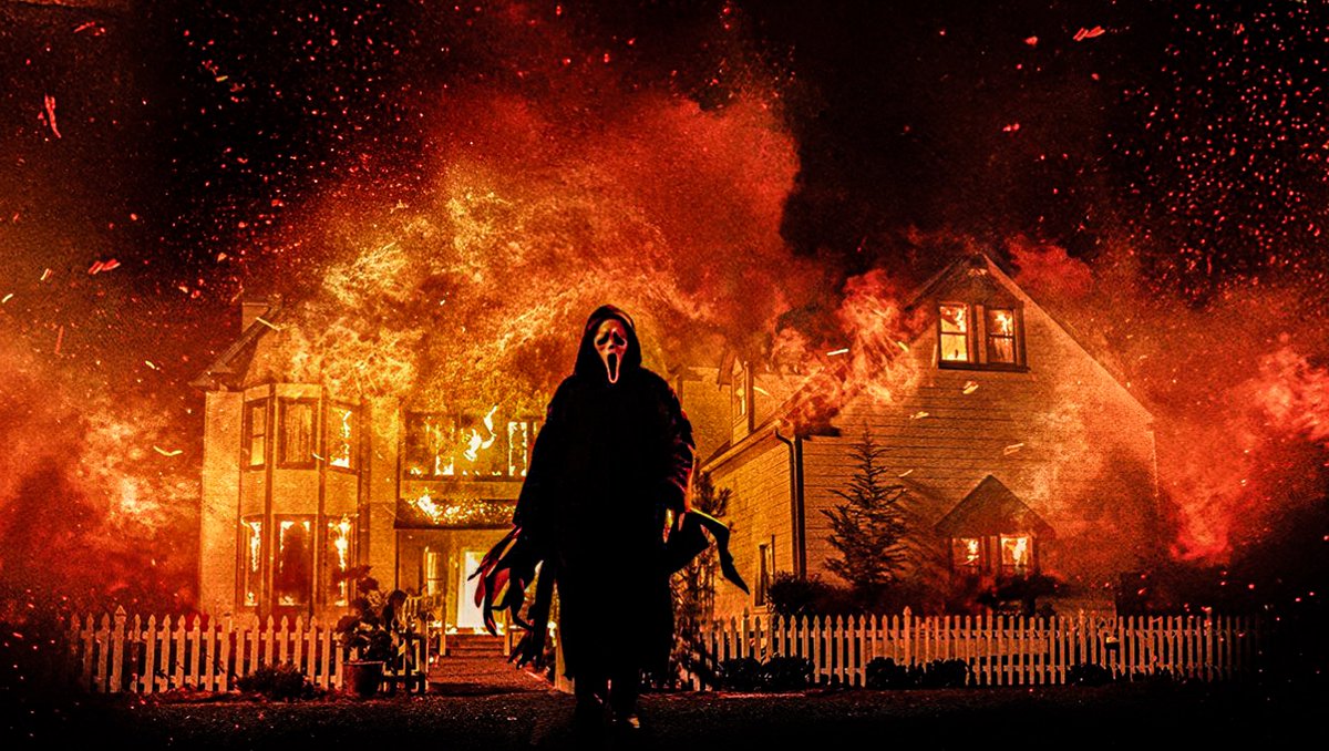 Scream News 🇵🇸 tweet media