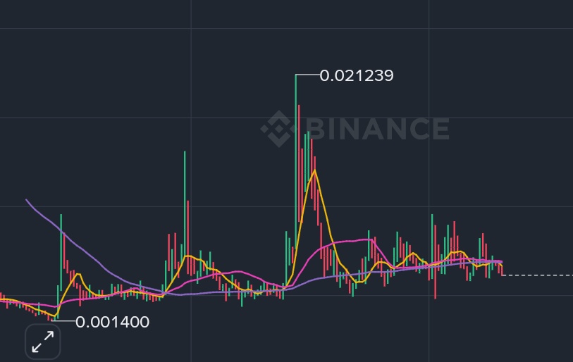 Dan Bam Bam tweet media