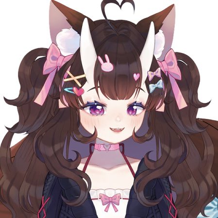 Chitzee 🎀✨ tweet media