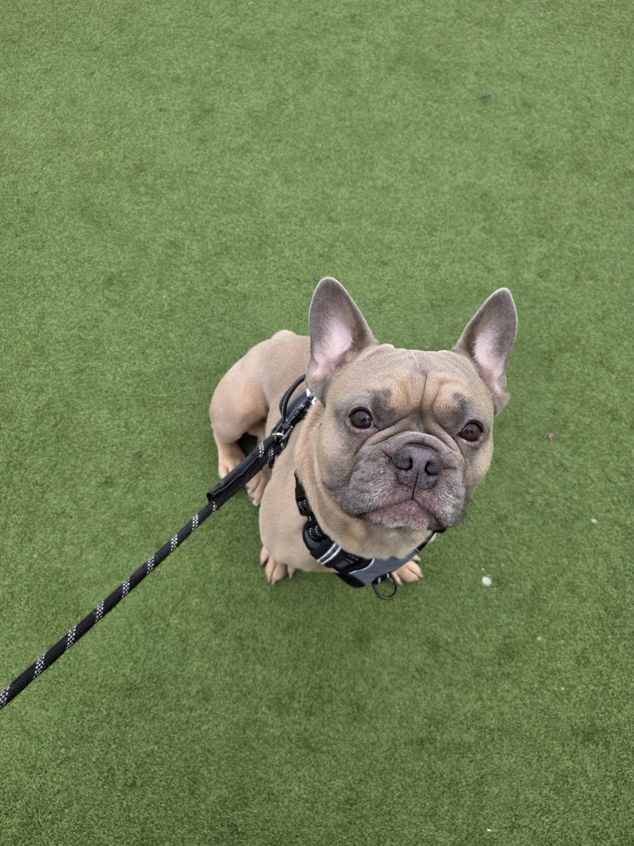 Two out of two for our sides this week 🏑💪🏻 another win for the 2nd XI with team mascot and good boy 🐶 Freddie
