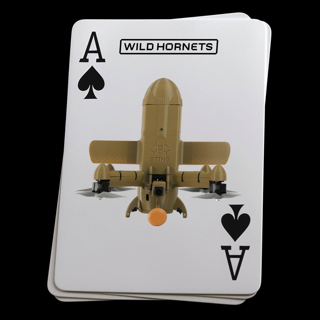 Roy🇨🇦 tweet media