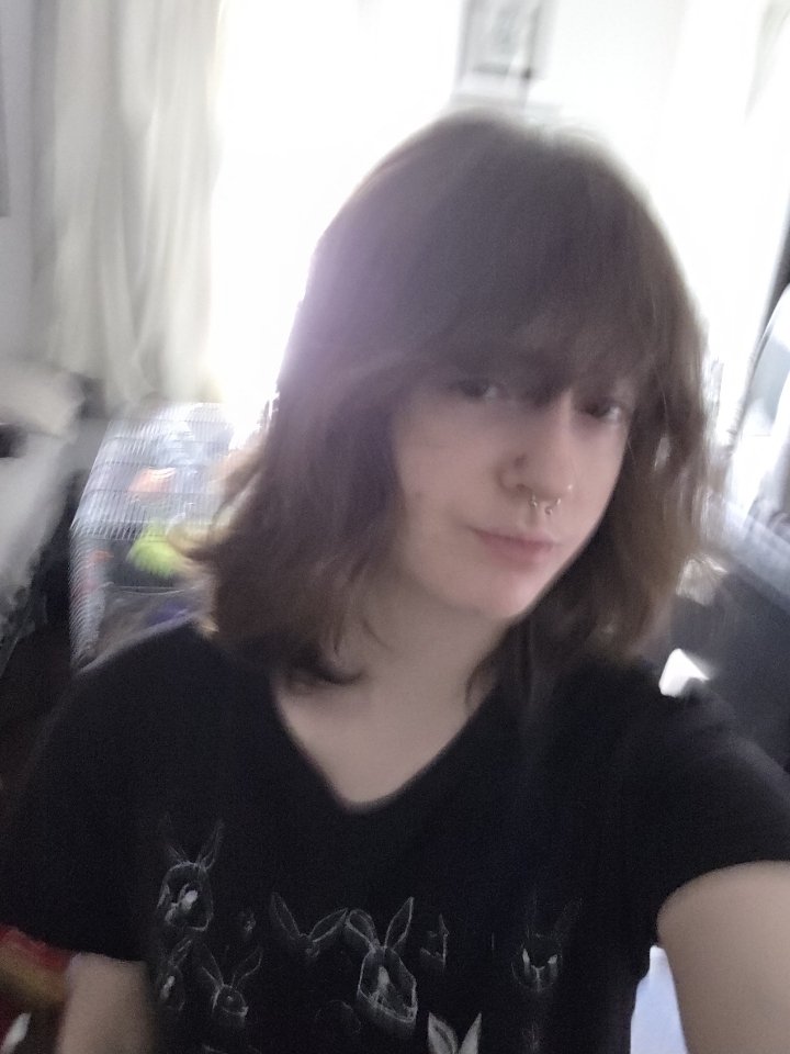 Tobaby Forge tweet media