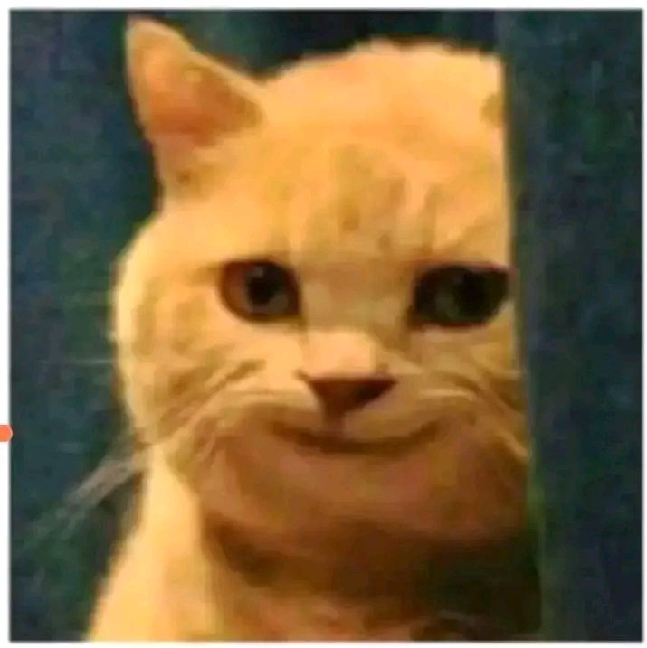 khalil_Q14 tweet media