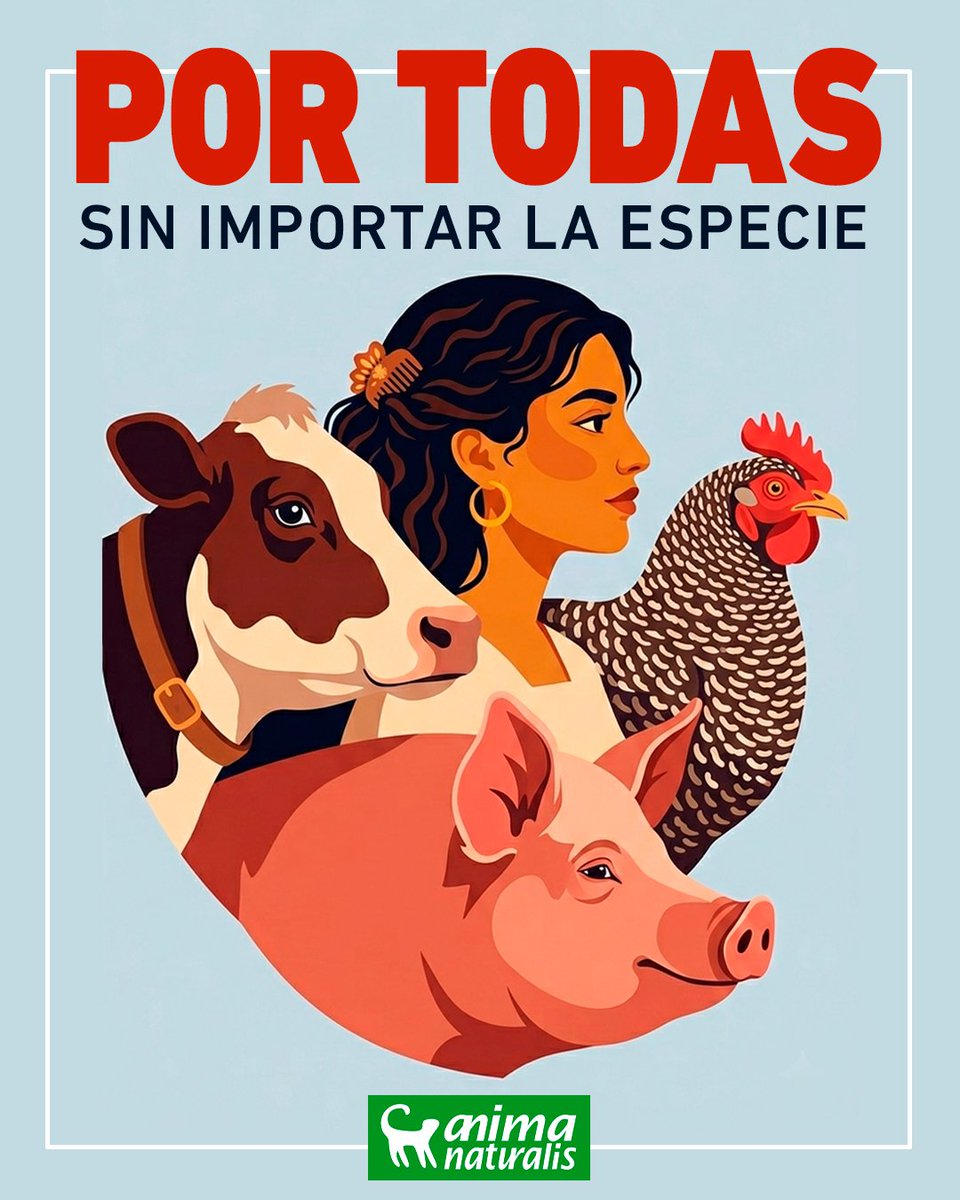 AnimaNaturalis tweet media