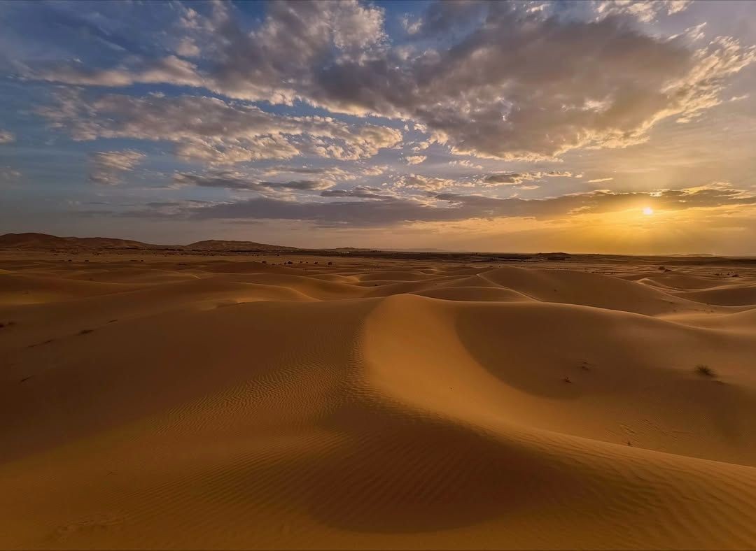 Andy Tomlinson tweet media