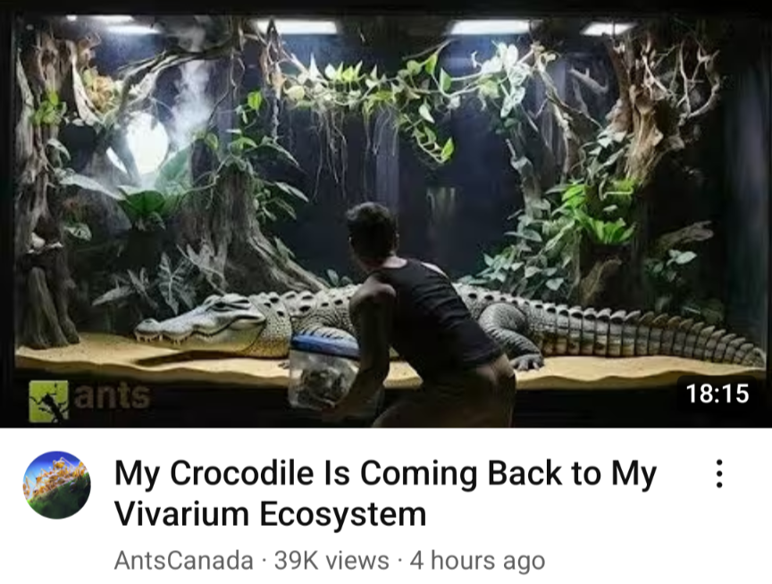 YippAlt's tweet photo. bro told the AI to add a crocodile dawg I'm cryin 

(my goat is falling off help) https://t.co/qx3w8QKUfr