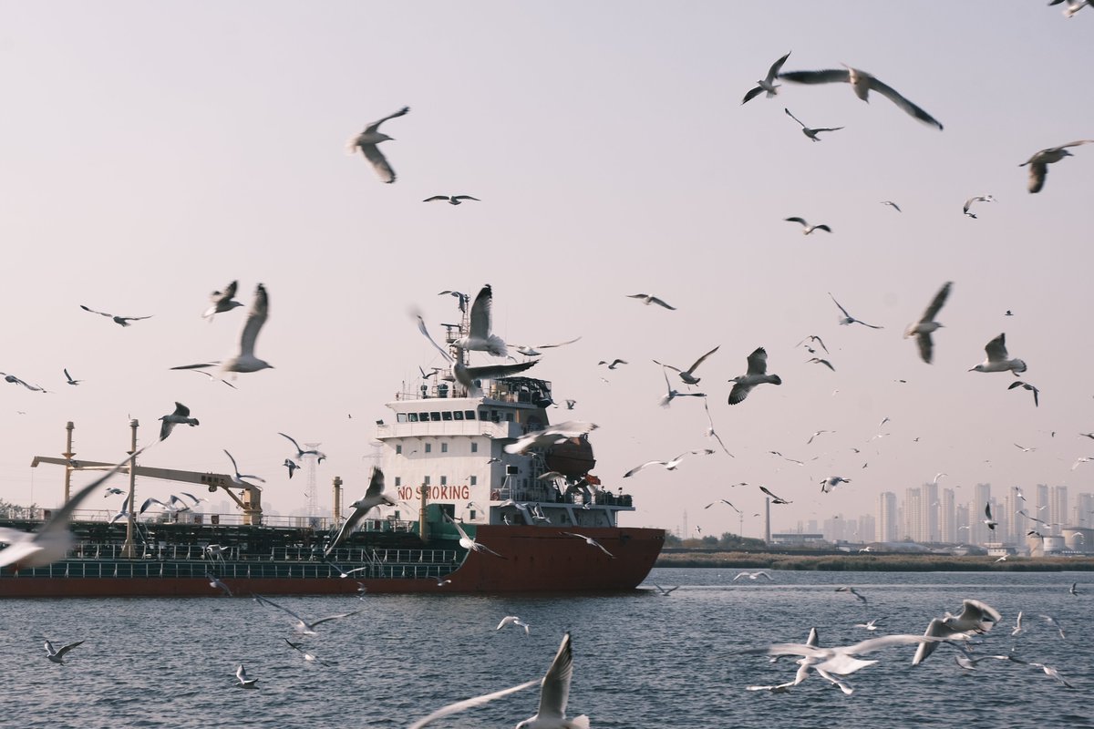 困的时候闭上眼 tweet media