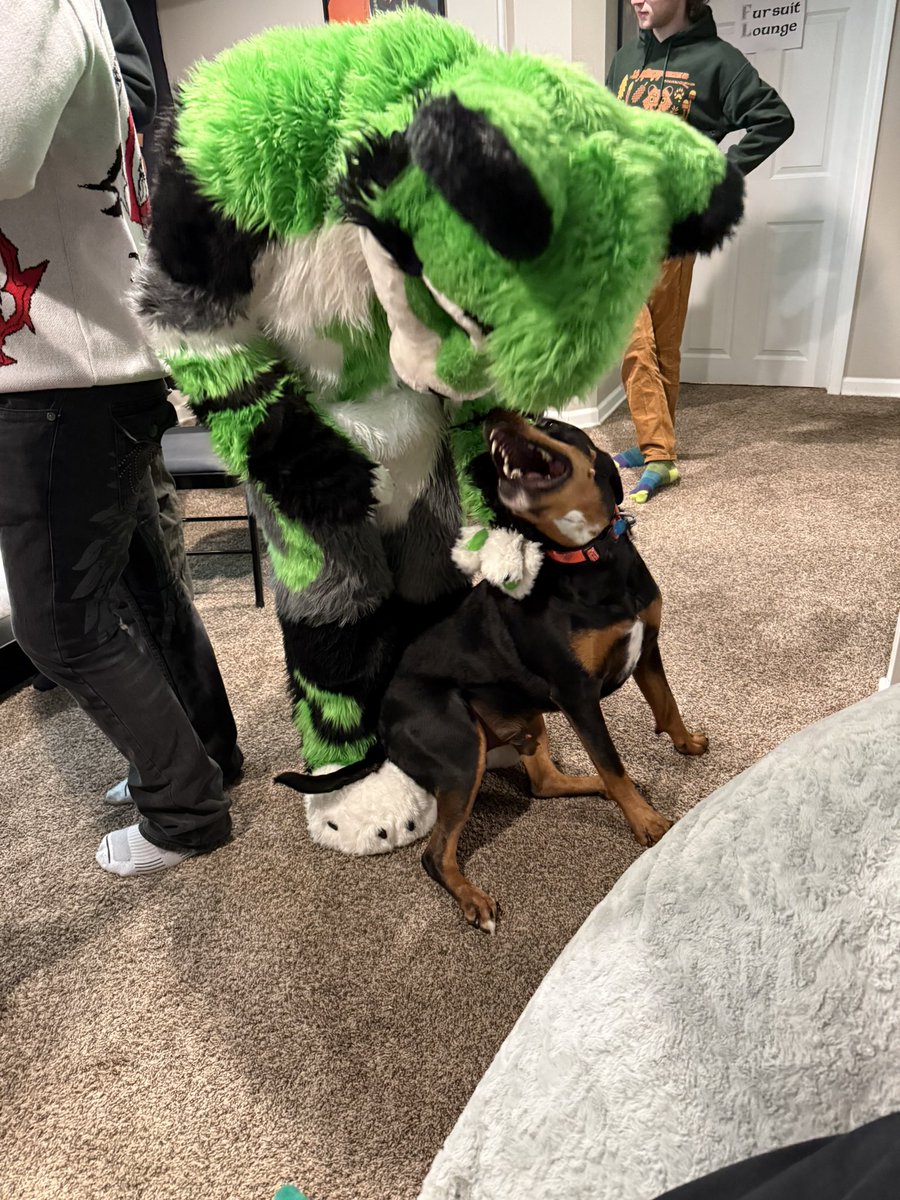 Rush Coyote 🇵🇸 tweet media