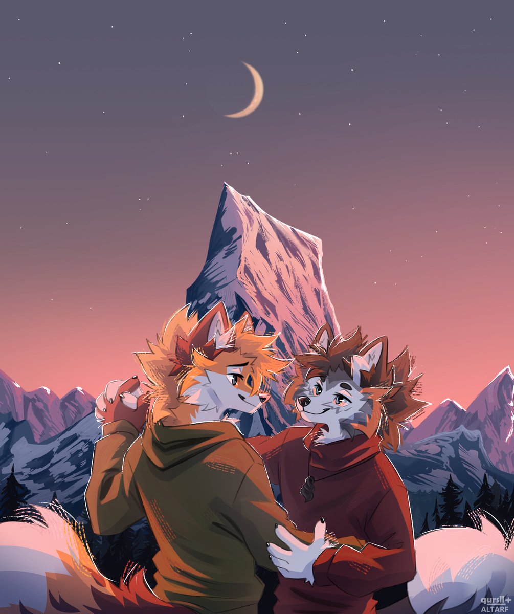 ✦ 𝖖𝖚𝖗𝖘𝖑𝖑 ✦ tweet media