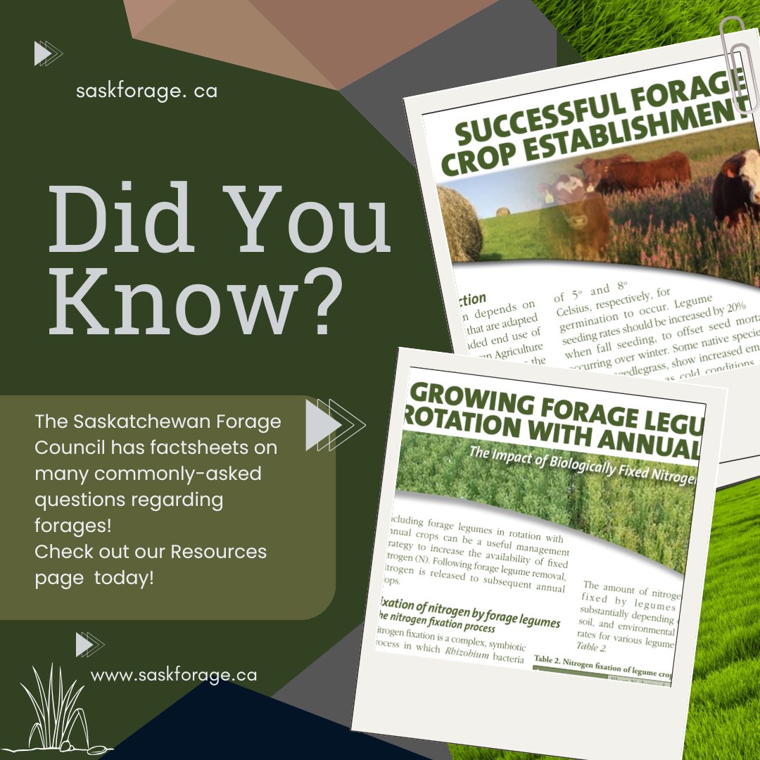 Saskatchewan Forage tweet media