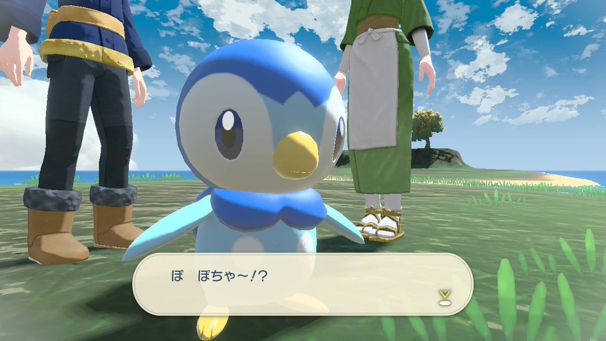 piplup_1217's tweet photo. 3月9日！393にちなんで2021年公式によってプロジェクトポッチャマが発足された日🐧🐧🐧🐧🐧🐧🎉🎉🎉🎉🎉🎉
ぽちゃああああああああああ！！！！！
#ポッチャマの日 https://t.co/1RePwV96Tx