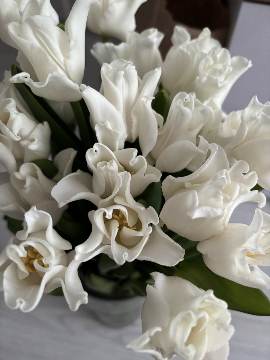 лера оборина tweet media