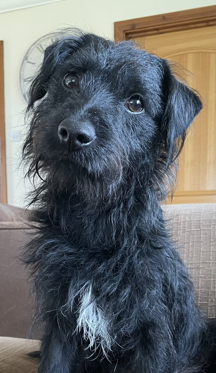 Adele and Rex (former staff to Monty🌈& Jilly🌈) tweet media