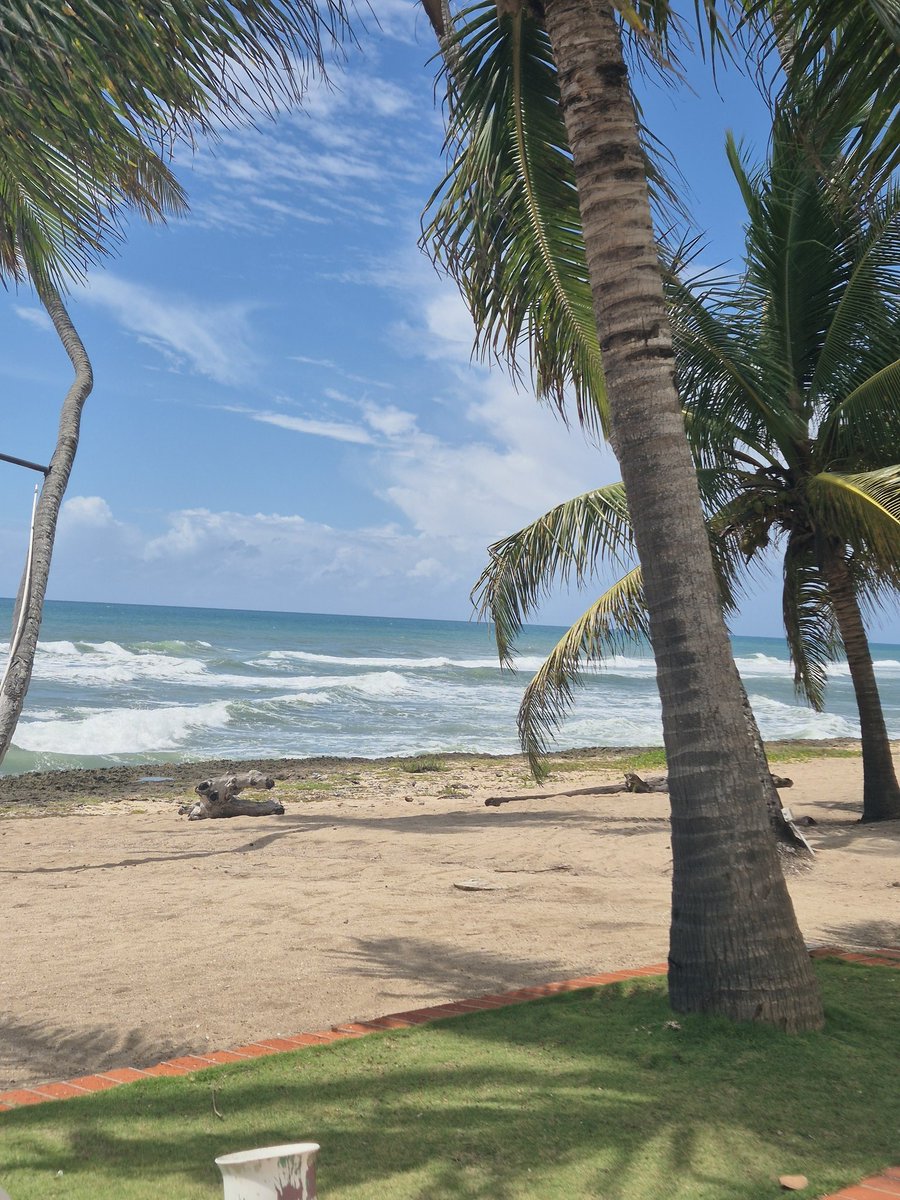 Supercube tweet media