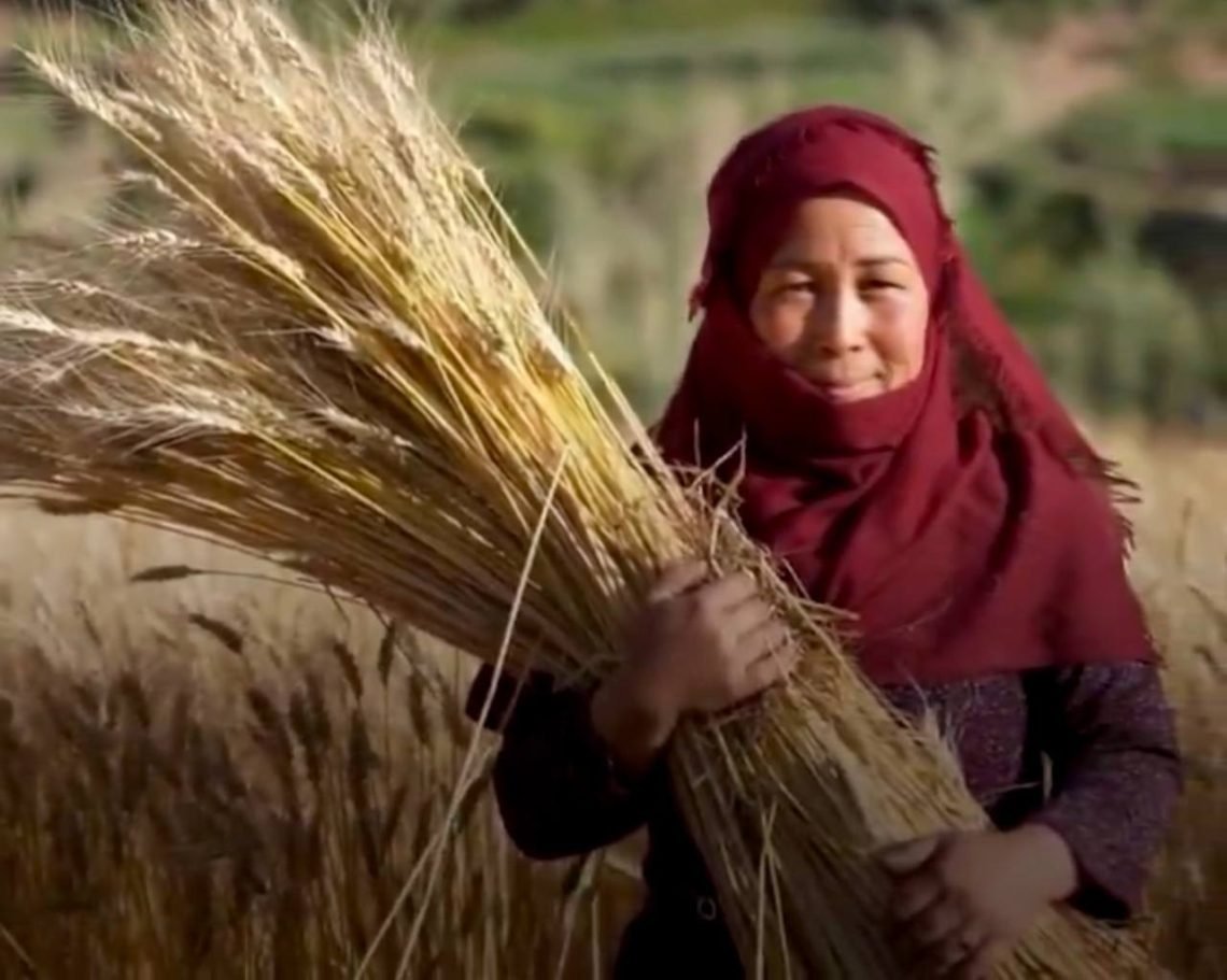8AM_Media's tweet image. March 8: FAO States That When Women of Afghanistan Thrive, Afghanistan Grows Stronger 

Read More: 8am.media/eng/march-8-fa… 

#Afghanistan #8March #FAO #8am_media