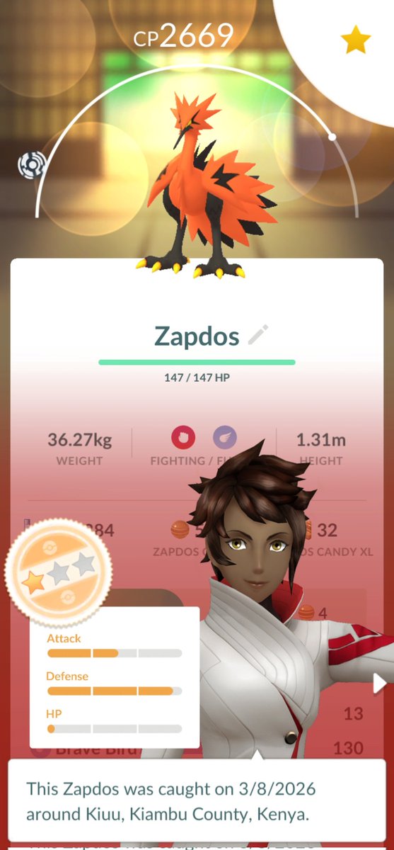 LikeableLeon's tweet photo. @pokedaxi Wild Gal Bird. I wasn't running any incense at all. https://t.co/iwcOwGjO7P