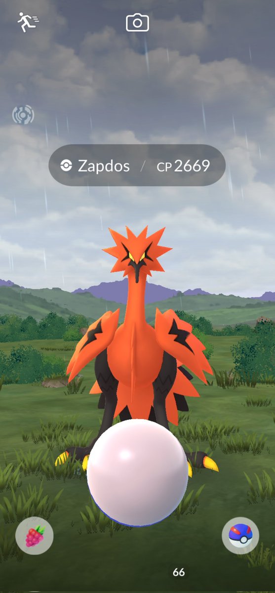 LikeableLeon's tweet photo. @pokedaxi Wild Gal Bird. I wasn't running any incense at all. https://t.co/iwcOwGjO7P