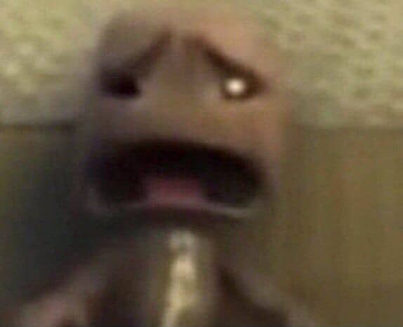 BreezeFox tweet media