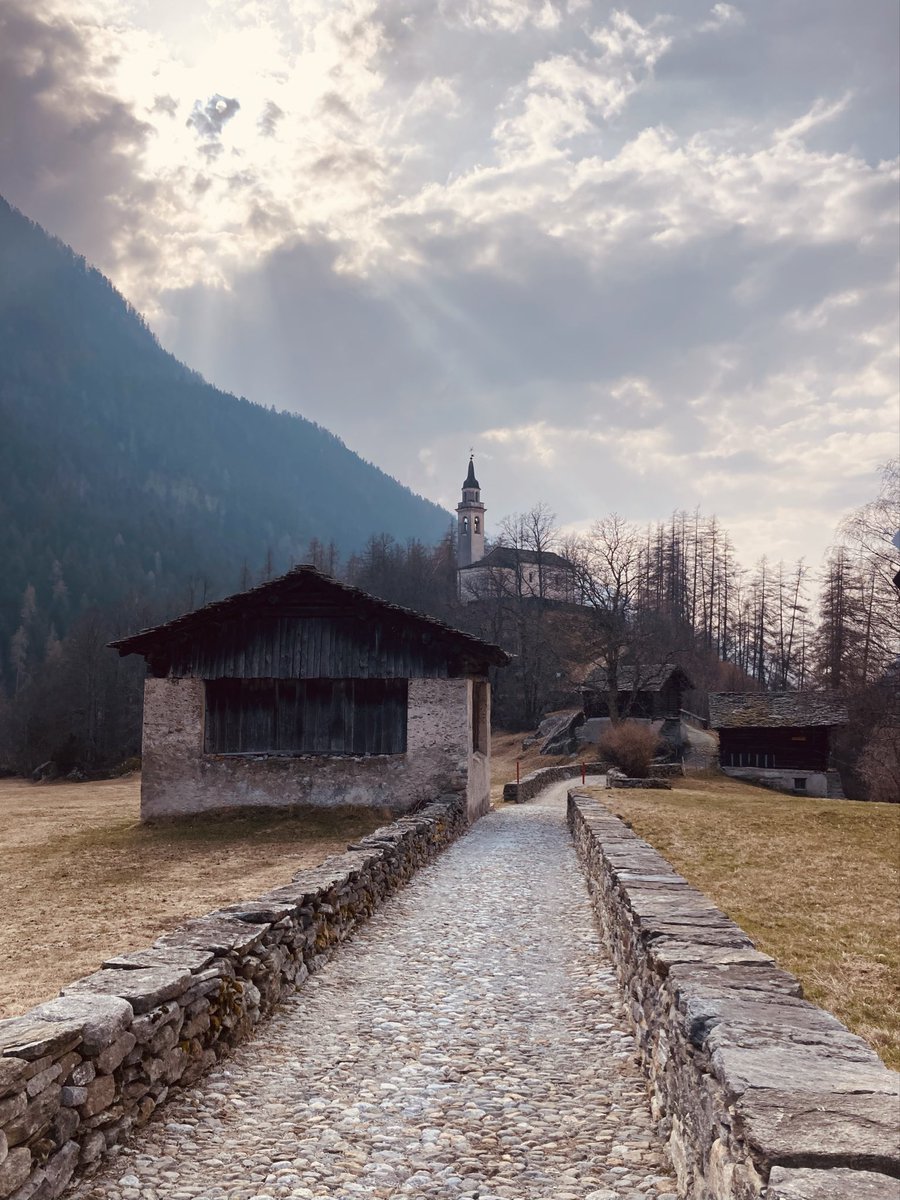 viandanta 🕊 tweet media