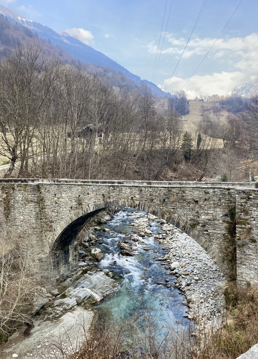 viandanta 🕊 tweet media