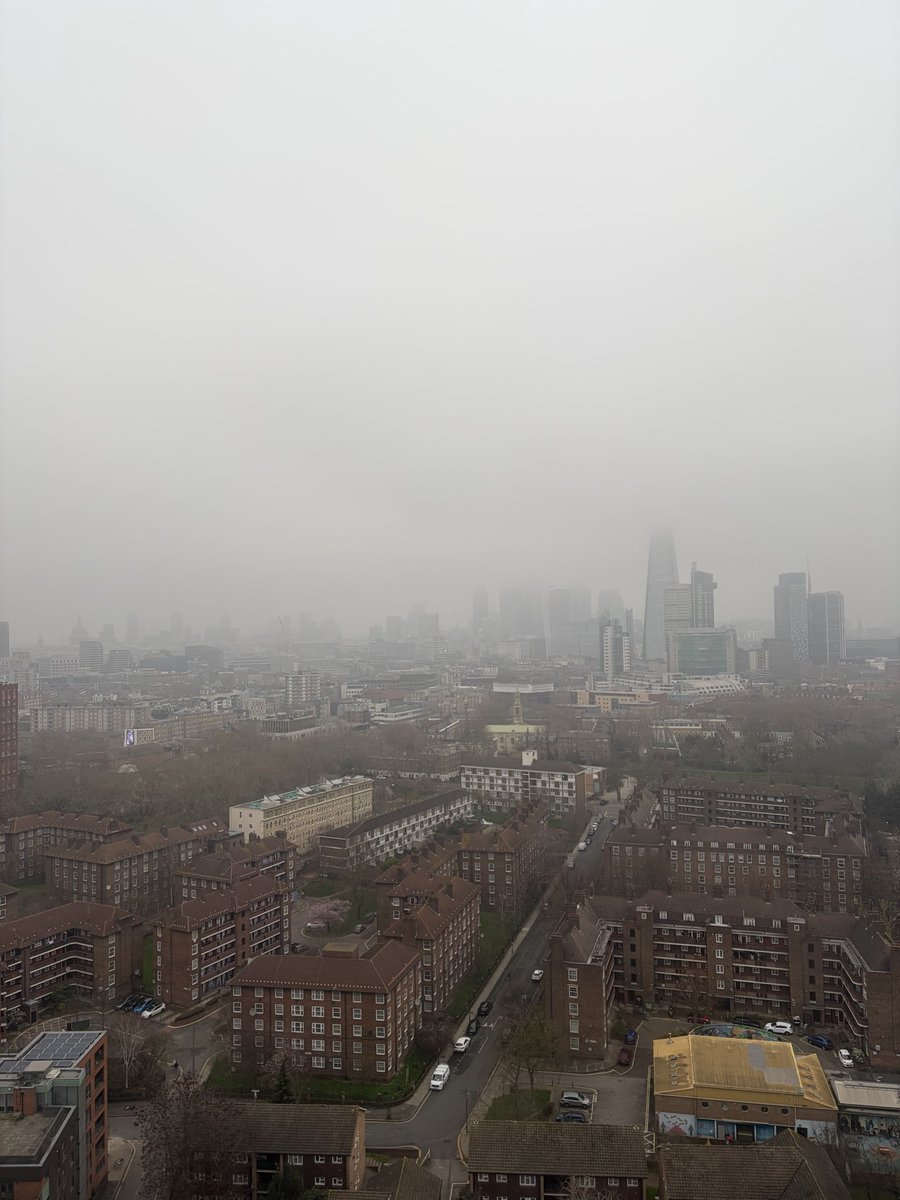 tomborgers.eth tweet media