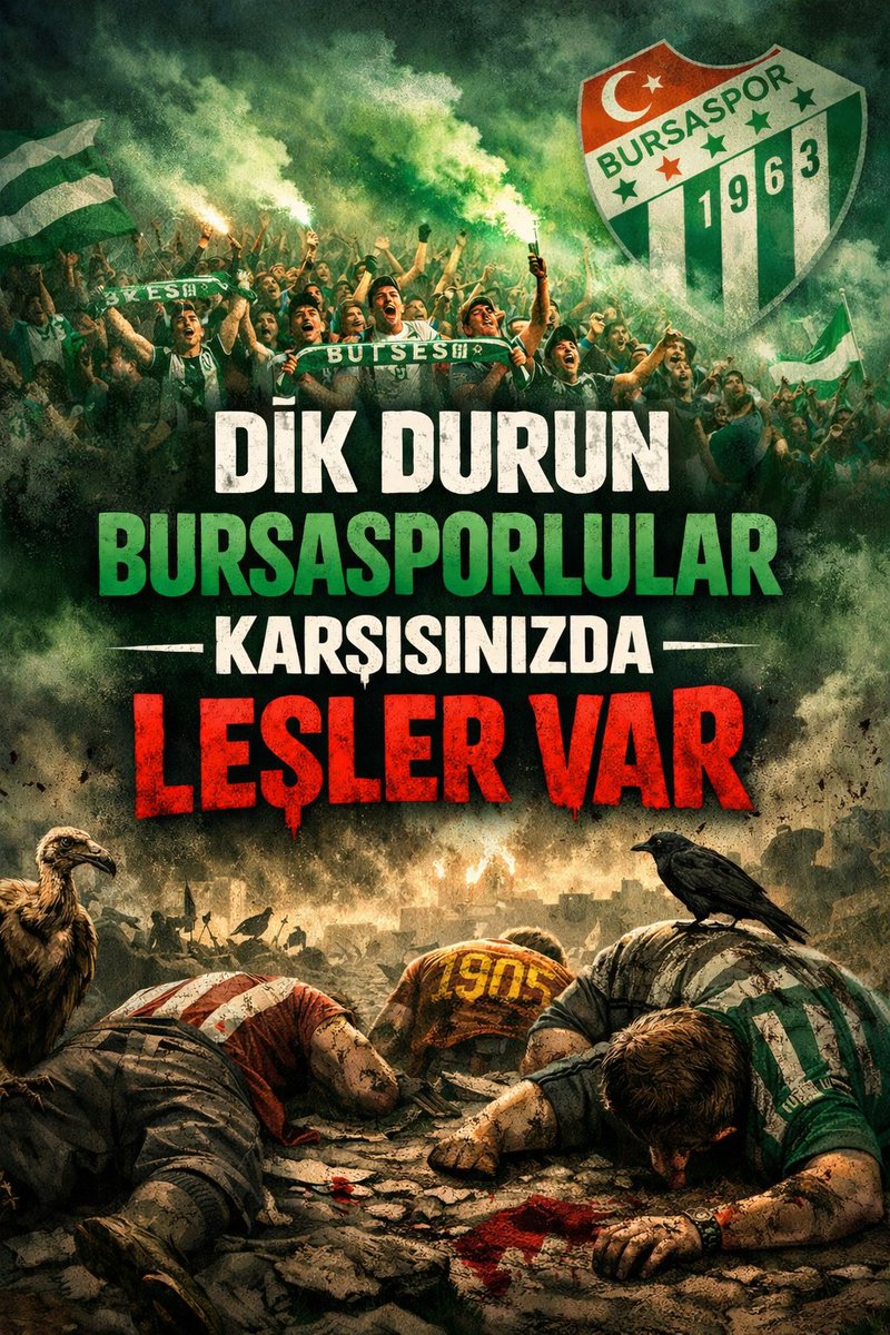 Selçuk Köprülü tweet media