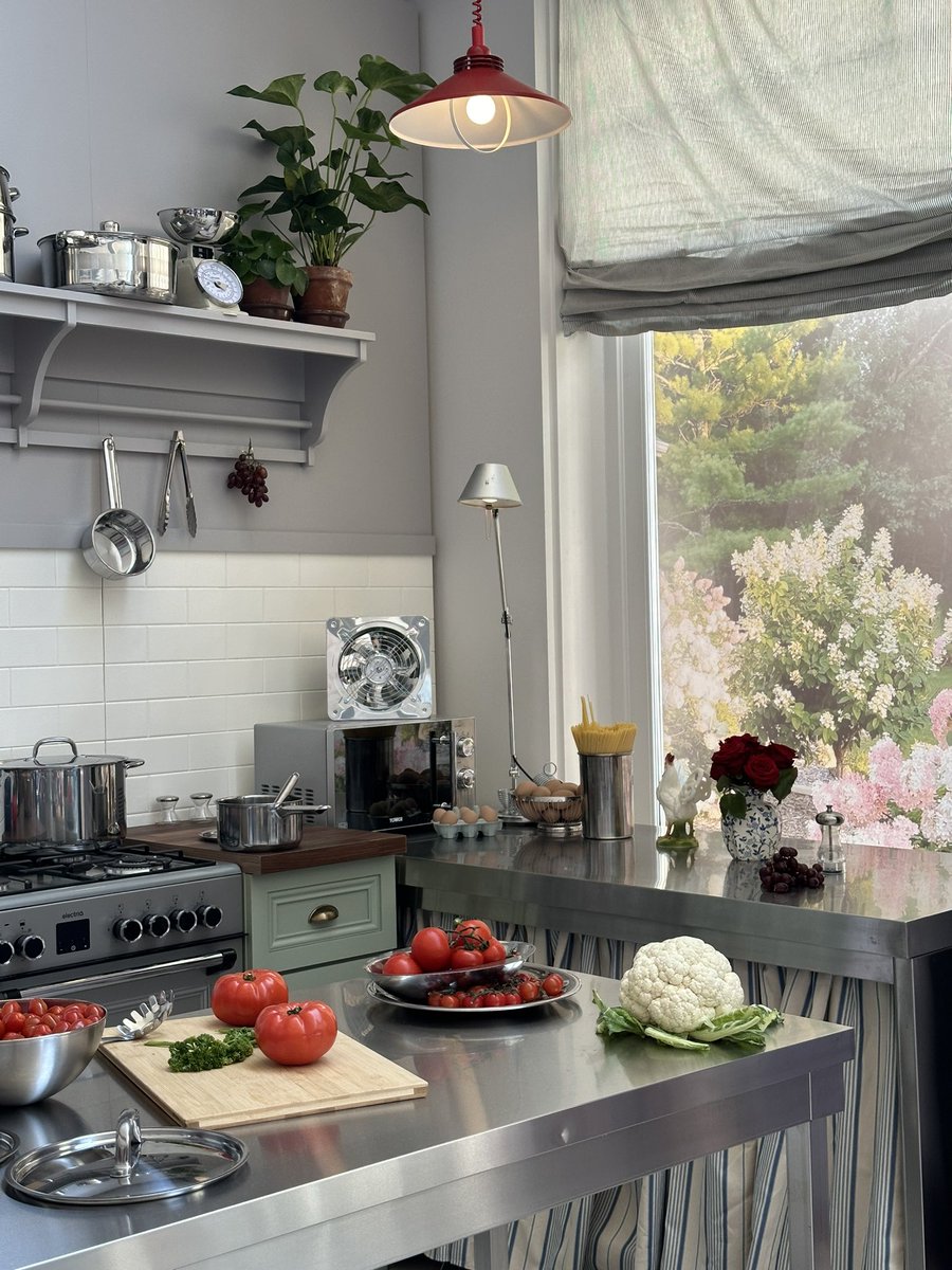 may 🪩 tweet media