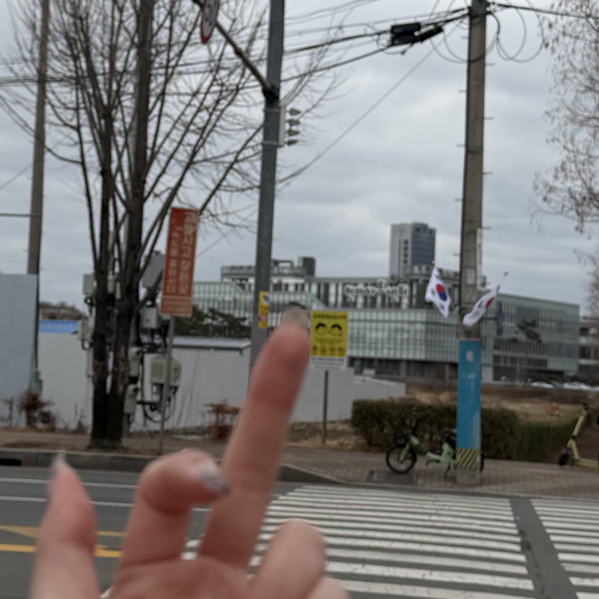 용과 tweet media