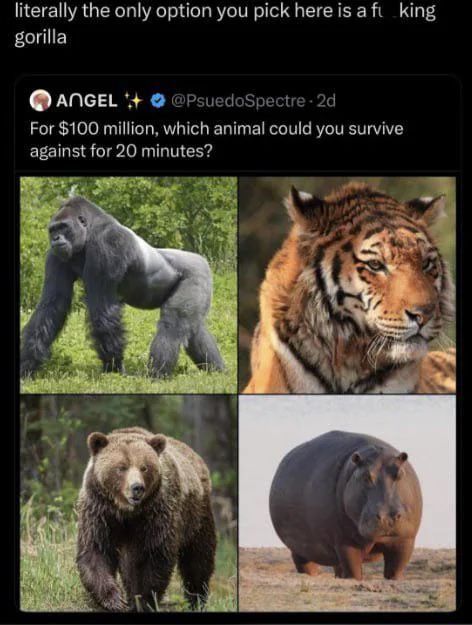 memes to save tweet media