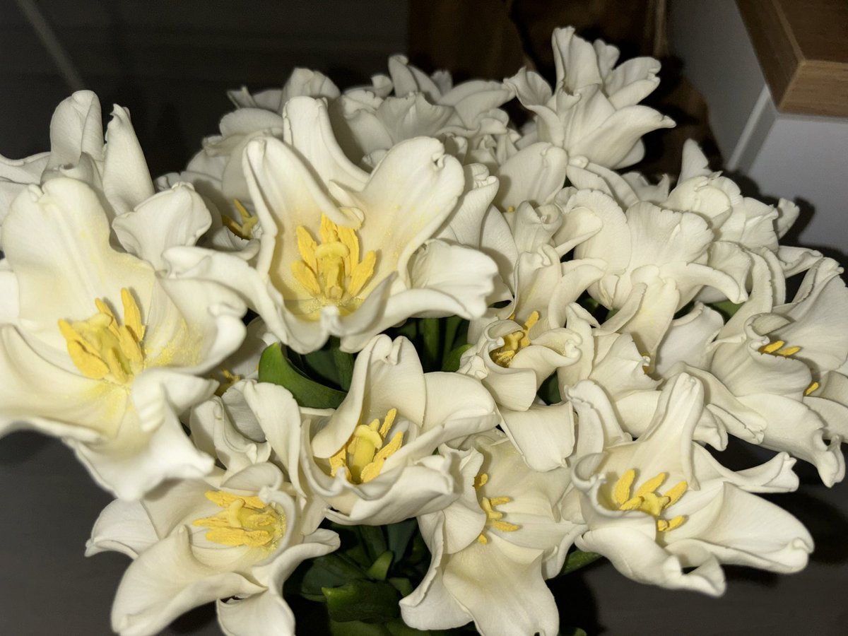 лера оборина tweet media