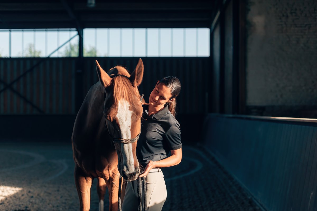 StableComfort's tweet photo. At StableComfort, we’re proud to support the hardworking women who dedicate their time, knowledge, and passion to providing the best care for their horses. Thank you for the leadership, dedication, and compassion you bring to the barn and beyond. Today we celebrate you! 🐎💪 https://t.co/DL8Ay9YVw5