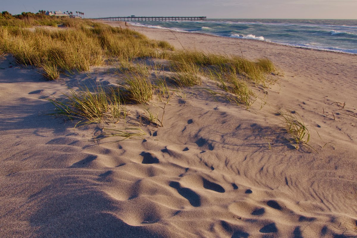 DeepGreens2's tweet image. #Favorite #Subject #Photography #BeachLife #Beach