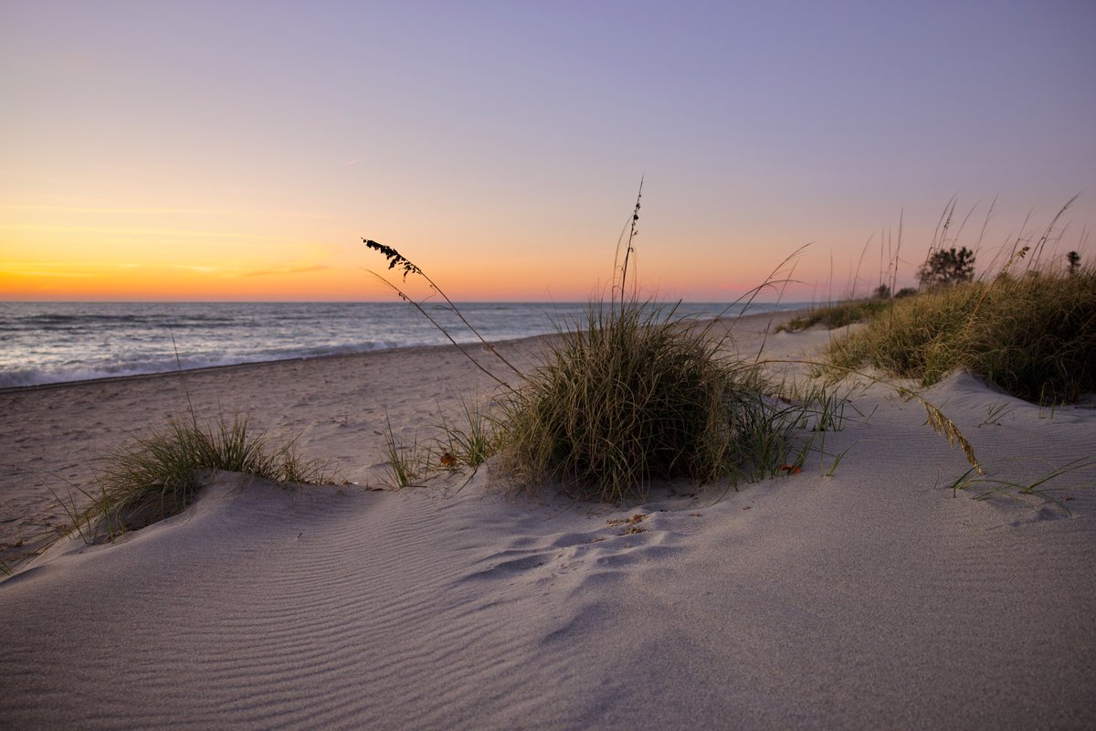 DeepGreens2's tweet image. #Favorite #Subject #Photography #BeachLife #Beach