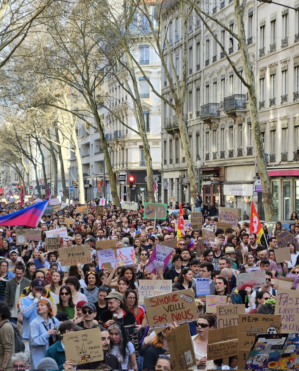 Bismuth Back tweet media