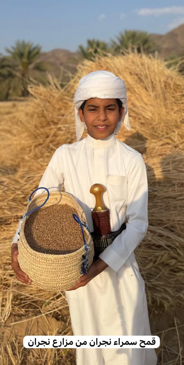 حسن آل منصور ابونايف tweet media