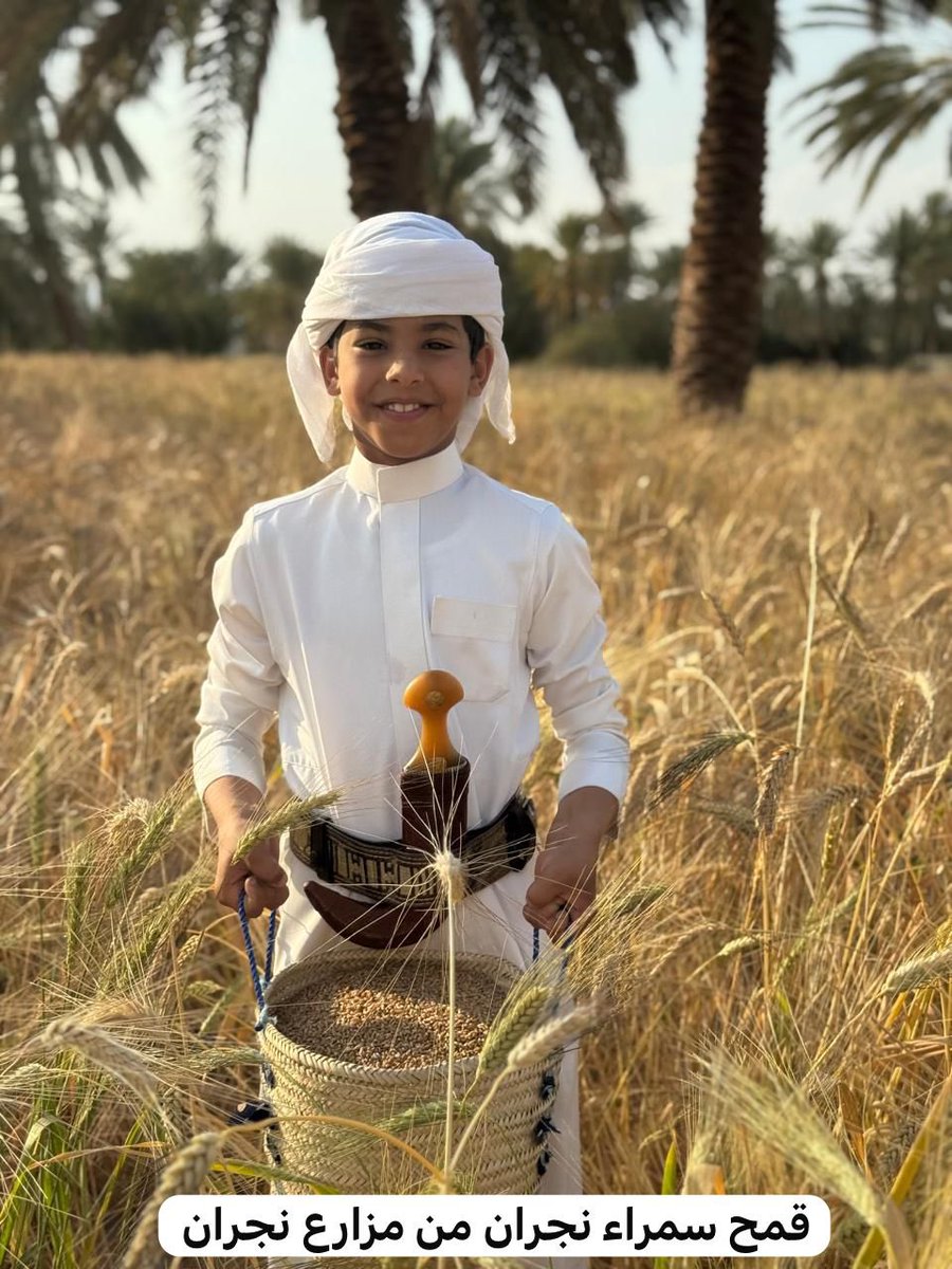 حسن آل منصور ابونايف tweet media