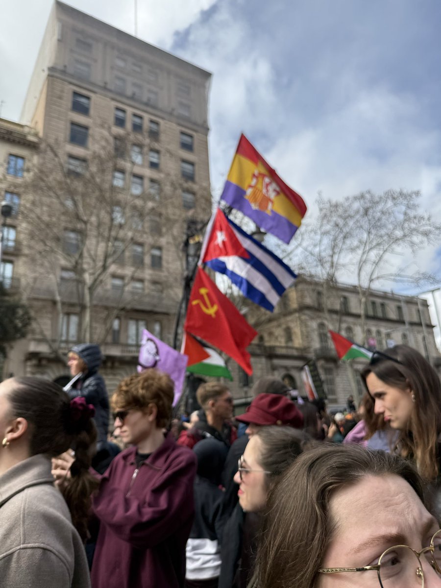 циничная соя tweet media