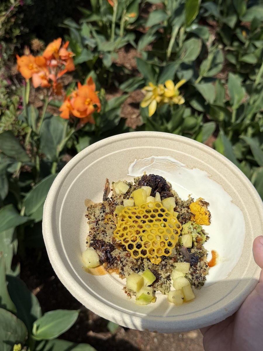 EatingAtParks's tweet photo. Next is the Honeycomb Bowl from The Honey Bee-stro! https://t.co/86EVxx2sJi