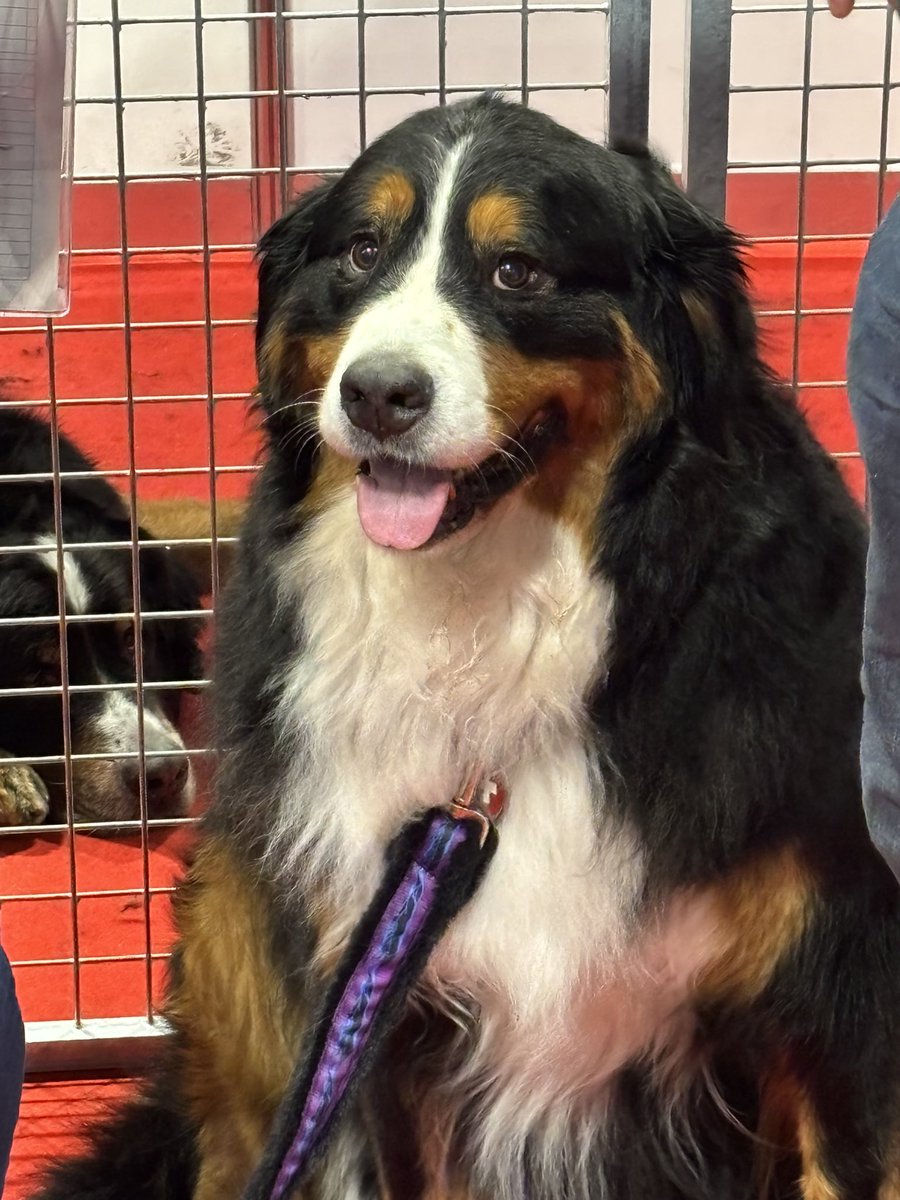 Mikee Diablo tweet media