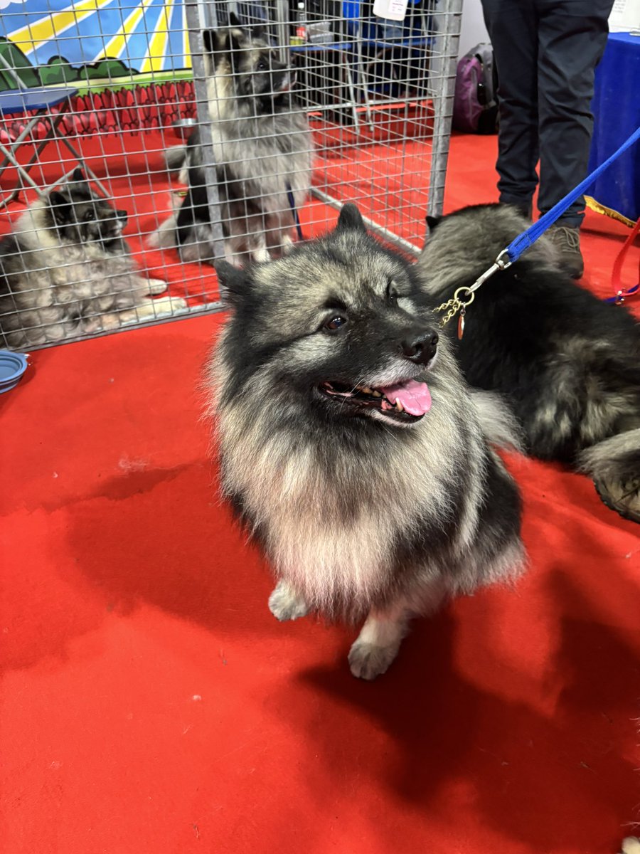 Mikee Diablo tweet media