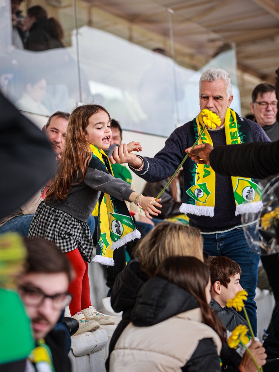 Clube Desportivo de Mafra tweet media