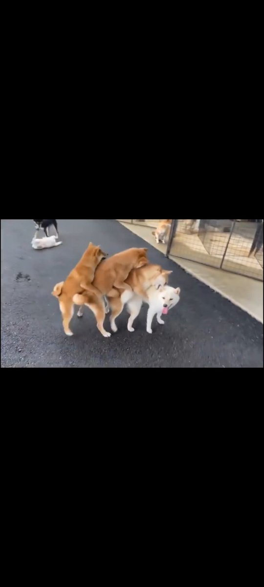 ミルクカルシウム錠 tweet media