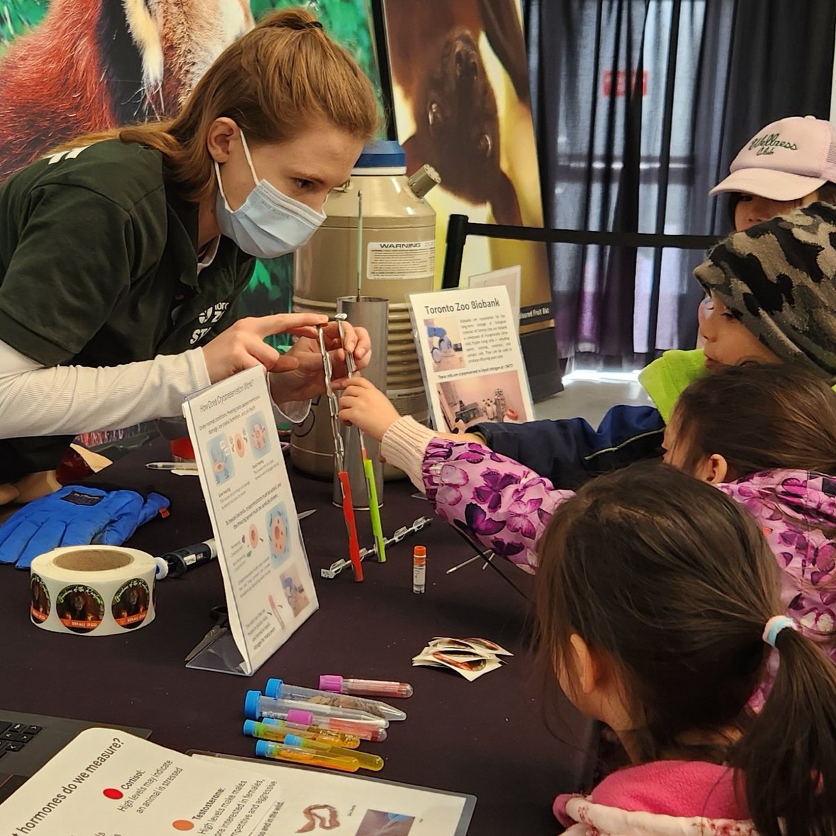 The Toronto Zoo tweet media