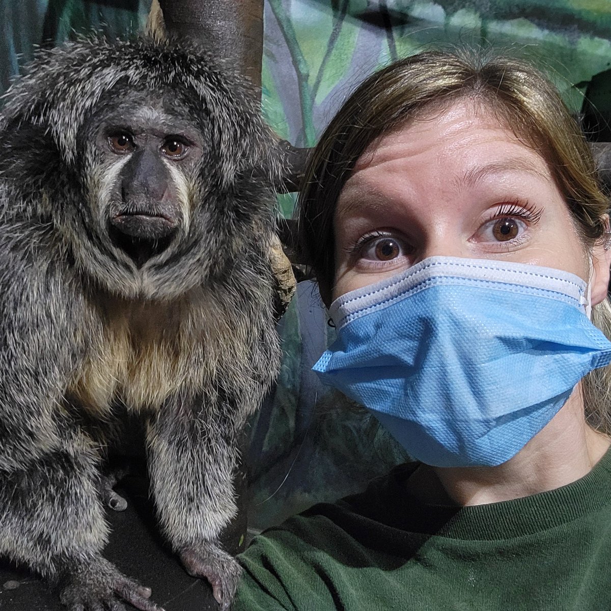 The Toronto Zoo tweet media