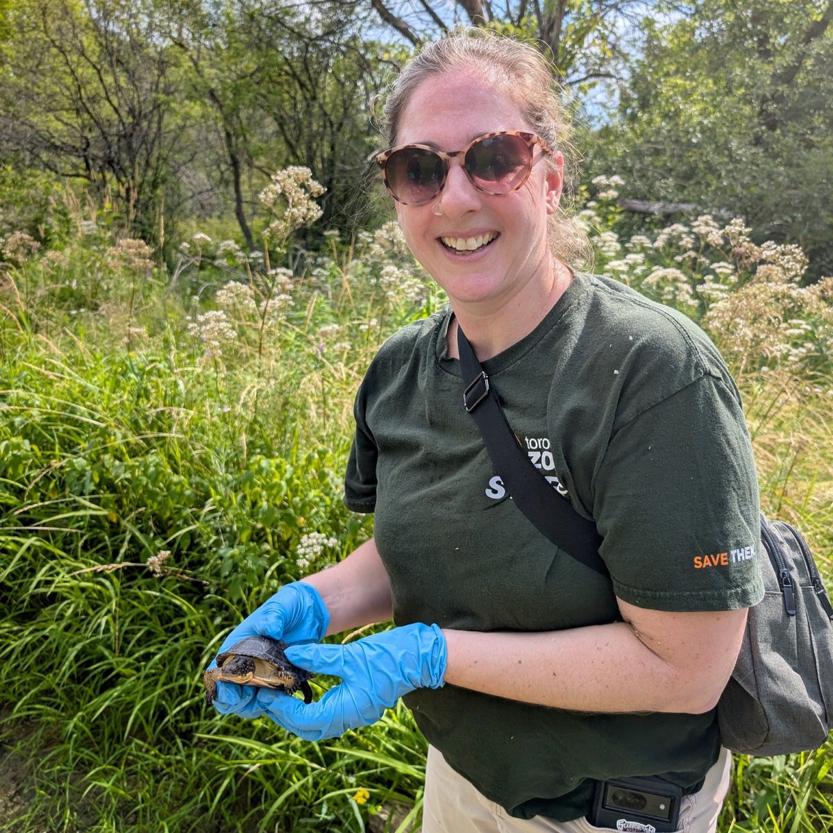 The Toronto Zoo tweet media